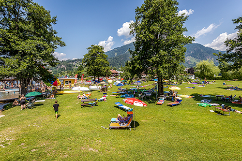 sitte_strand_wiese_500.jpg